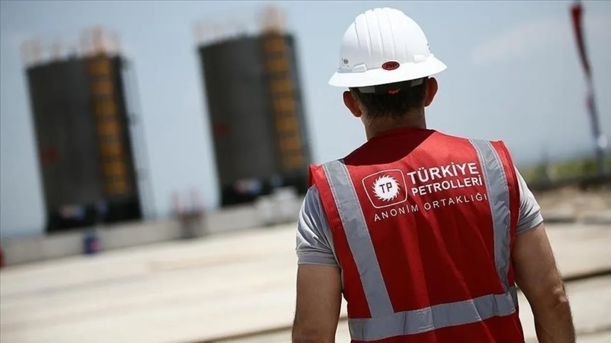 Petrol hakkına müteallik kararı Resmi Gazete'de